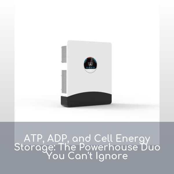 ATP, ADP, and Cell Energy Storage: The Powerhouse Duo You Can't Ignore